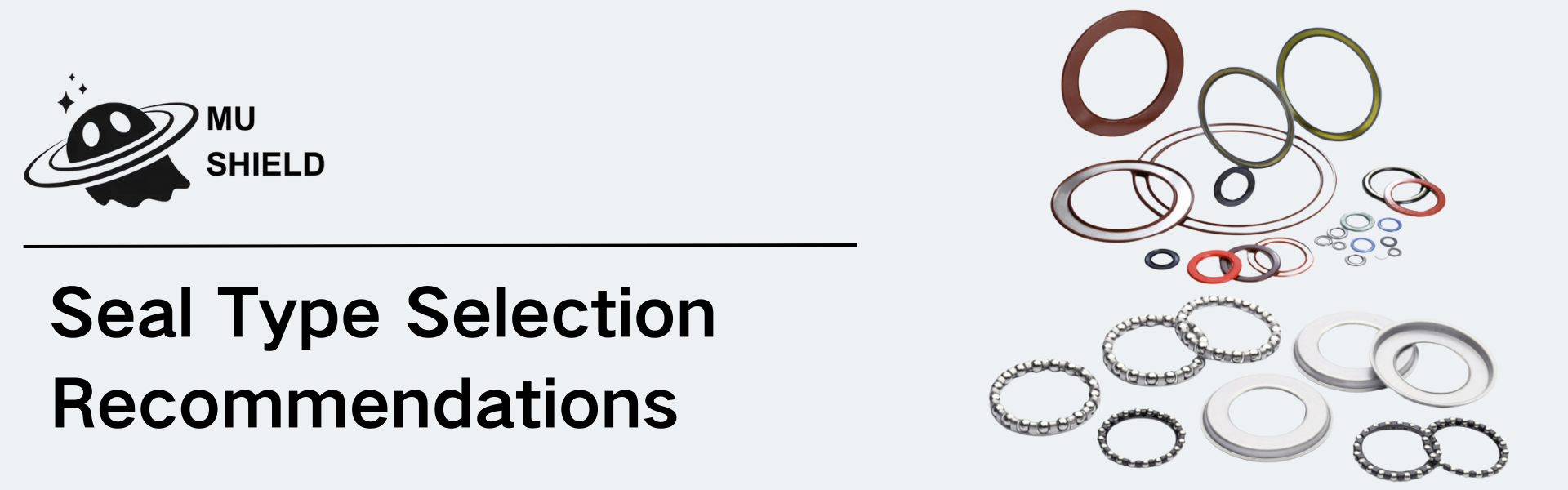 Seal Type Selection Recommendations